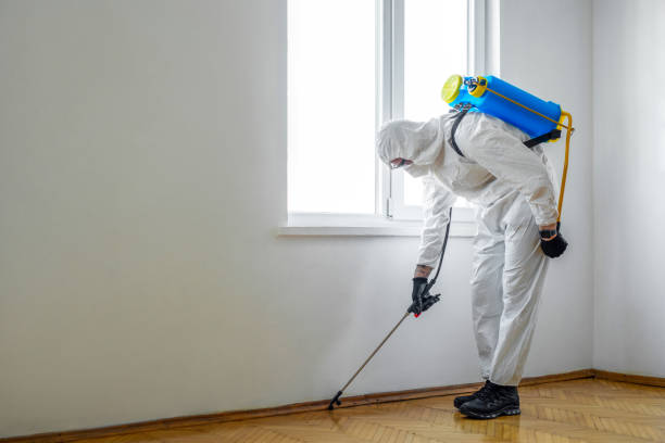 Wasp Removal Services in Lake Dallas, TX