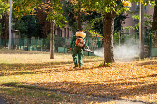 Best Best Pest Control Companies  in Lake Dallas, TX